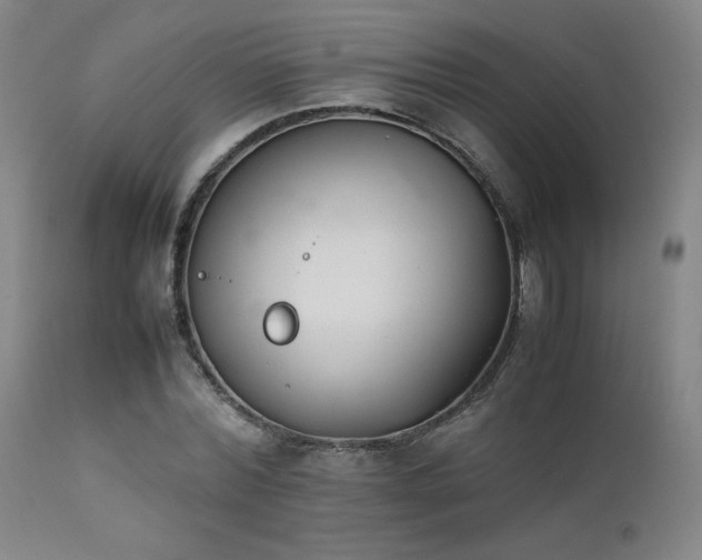 X0000111500780200907141311