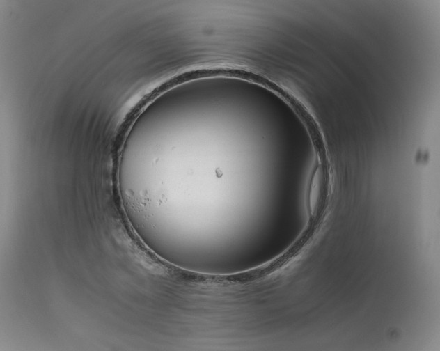 X0000111500781200907141311