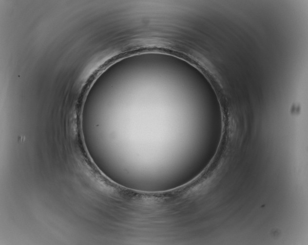 X0000111500782200907141311