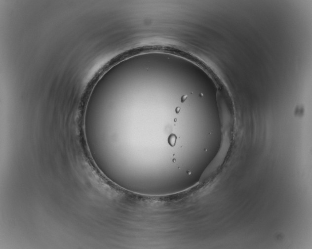 X0000111500783200907141311
