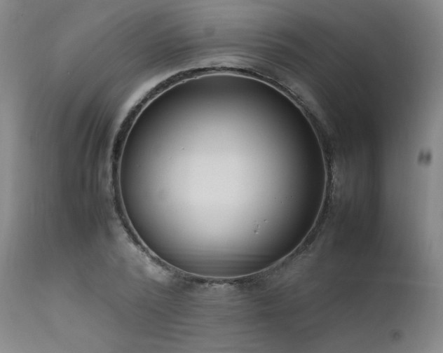 X0000111500784200907141311