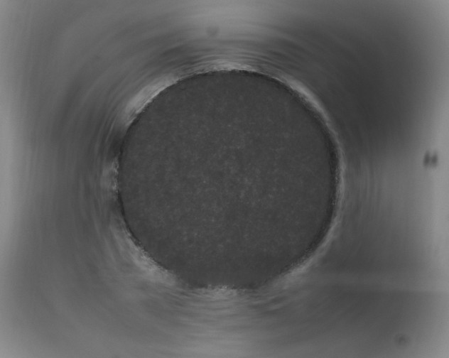 X0000111500785200907141311