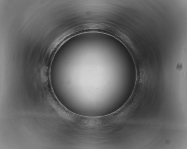 X0000111500786200907141311