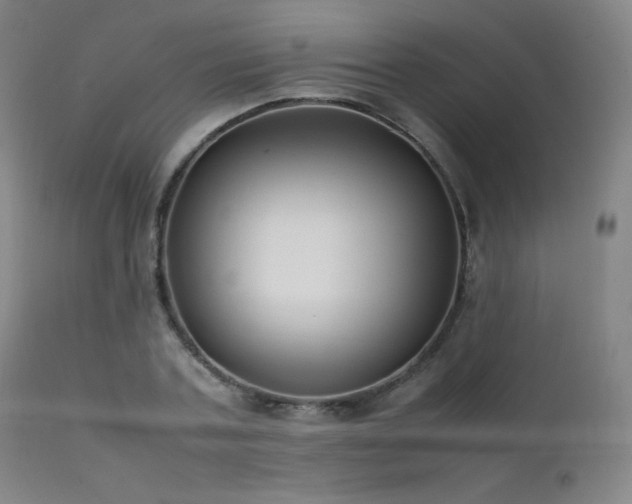 X0000111500787200907141311