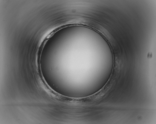 X0000111500788200907141311