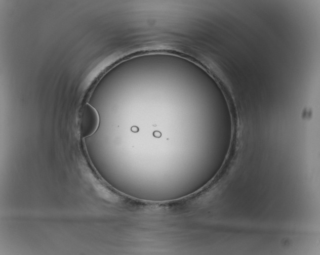 X0000111500789200907141311