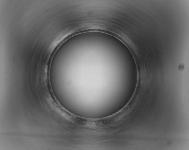 X0000111500790200907141311