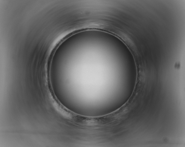 X0000111500792200907141311