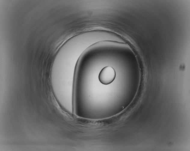 X0000111500793200907141311