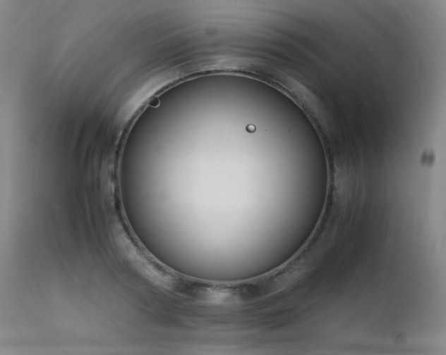 X0000111500794200907141311