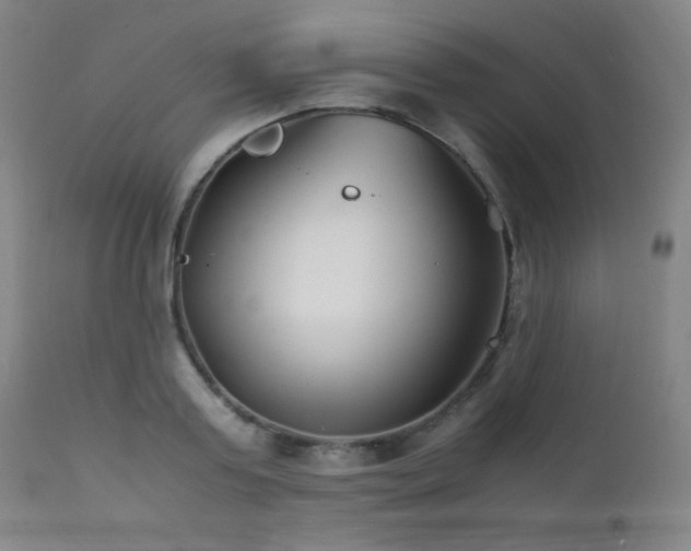 X0000111500795200907141311