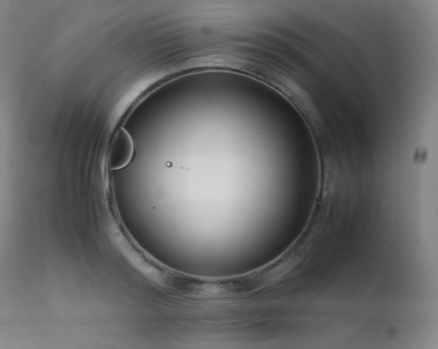 X0000111500796200907141311