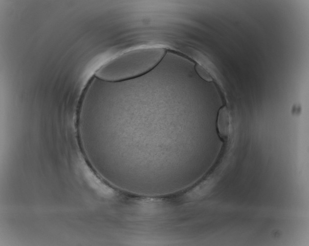 X0000111500797200907141311
