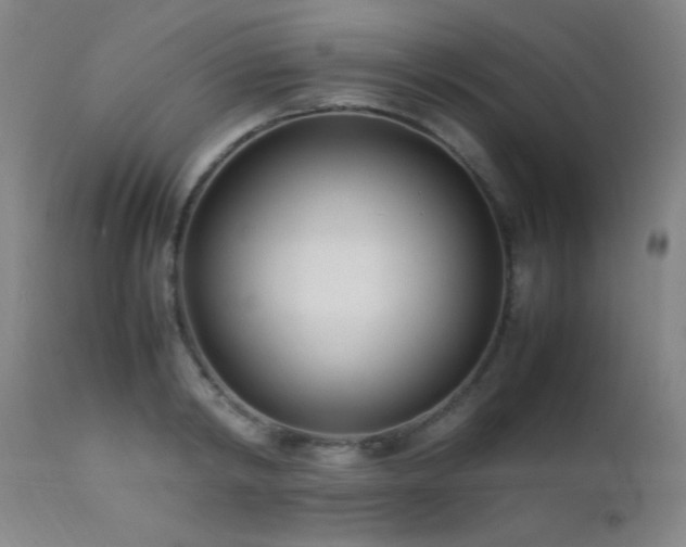 X0000111500798200907141311