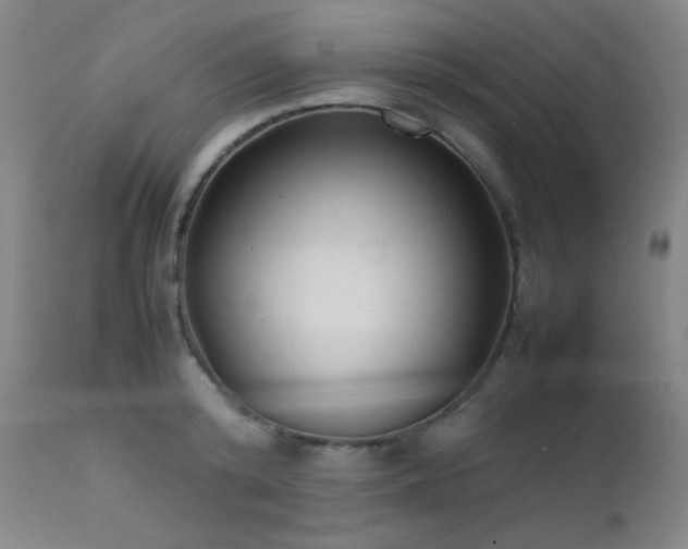 X0000111500800200907141311