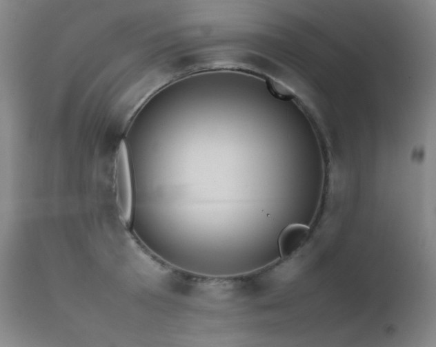 X0000111500801200907141311