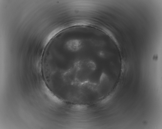 X0000111500802200907141311