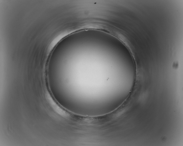 X0000111500803200907141311