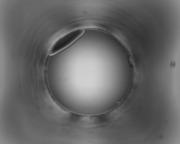 X0000111500805200907141311