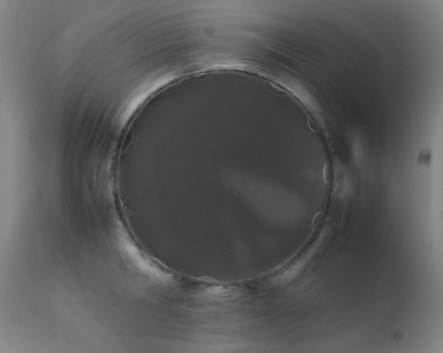 X0000111500806200907141311