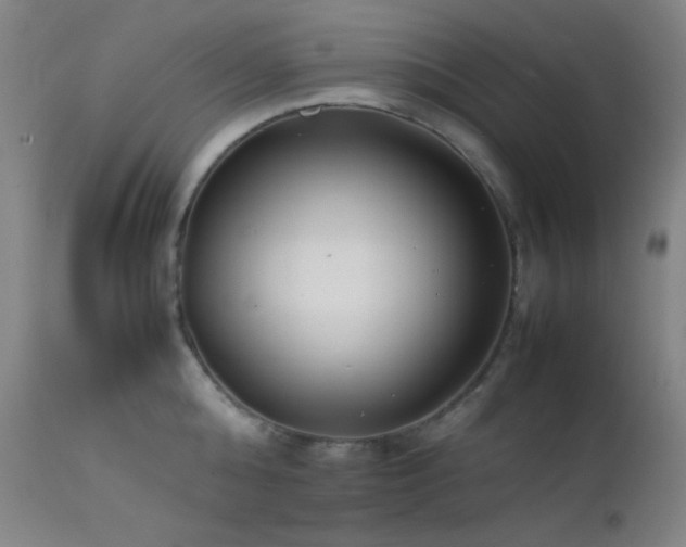 X0000111500808200907141311