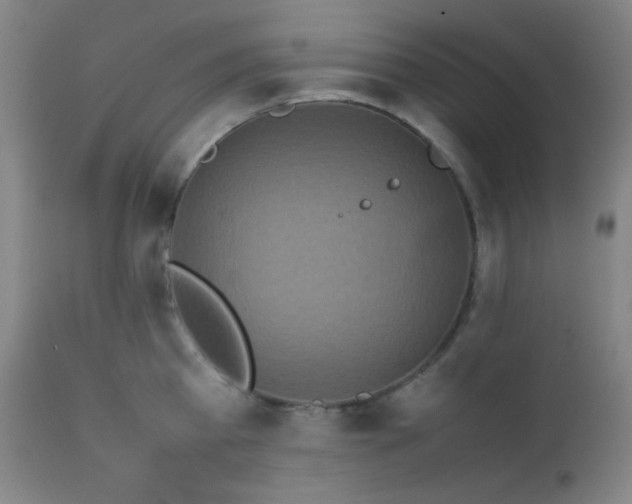 X0000111500809200907141311
