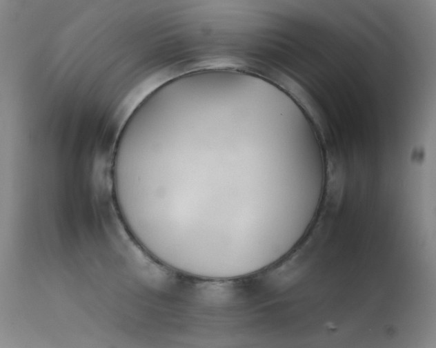 X0000111500810200907141311