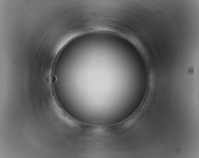 X0000111500814200907141311