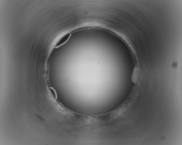 X0000111500815200907141311