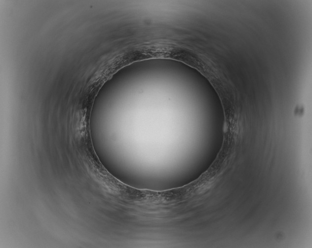 X0000111500818200907141310