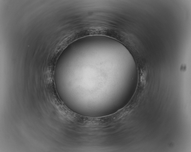 X0000111500819200907141310