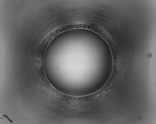 X0000111500821200907141310