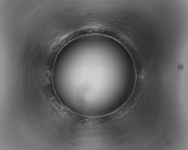 X0000111500822200907141310