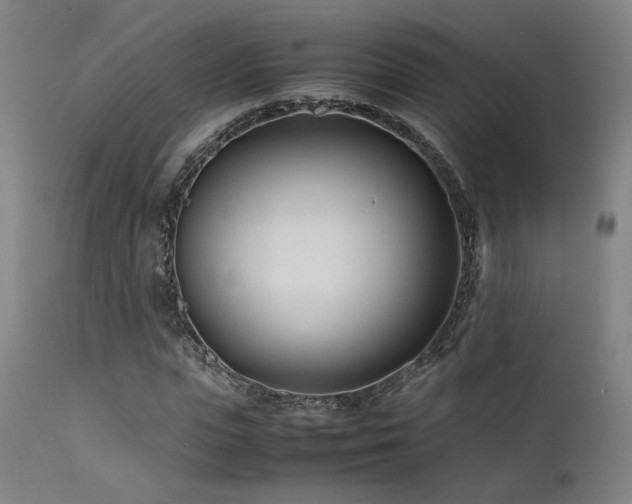 X0000111500823200907141310