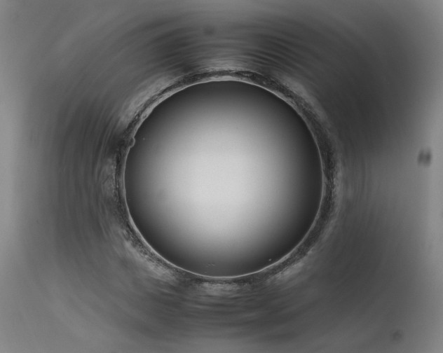 X0000111500825200907141310