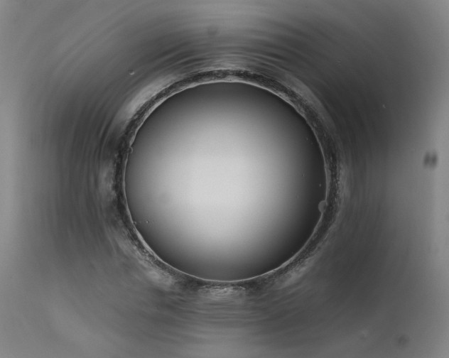 X0000111500826200907141310