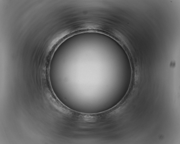 X0000111500827200907141310