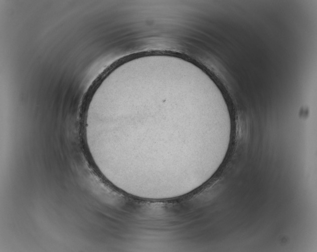 X0000111500828200907141310