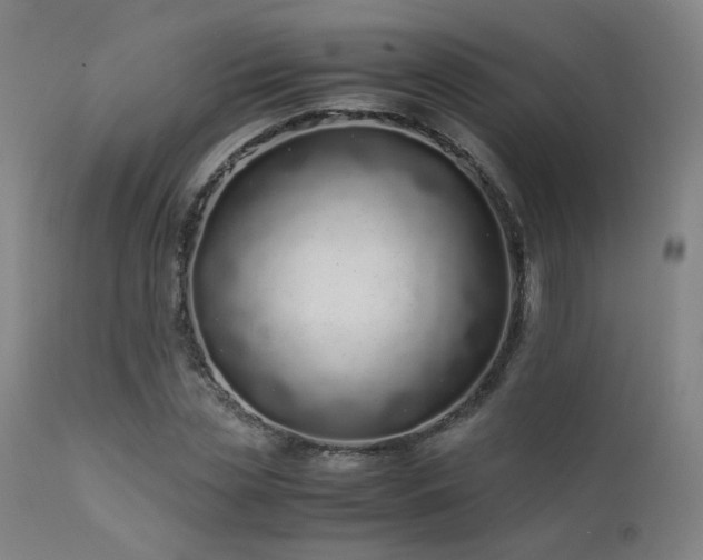 X0000111500829200907141310
