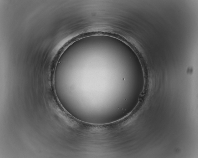 X0000111500830200907141310
