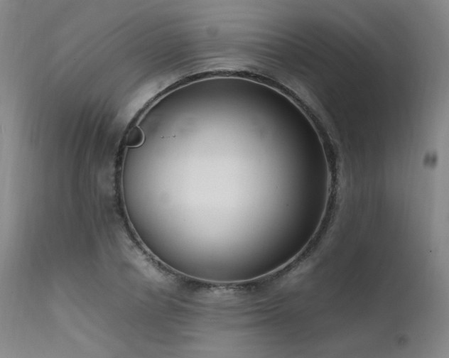 X0000111500834200907141310