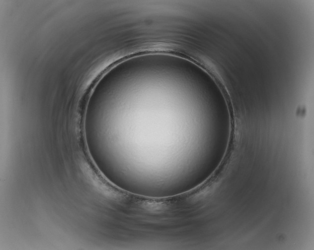 X0000111500835200907141310