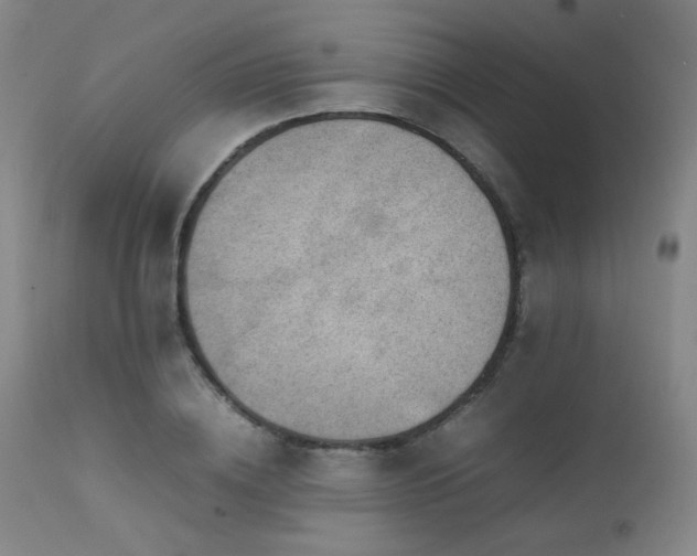 X0000111500836200907141310