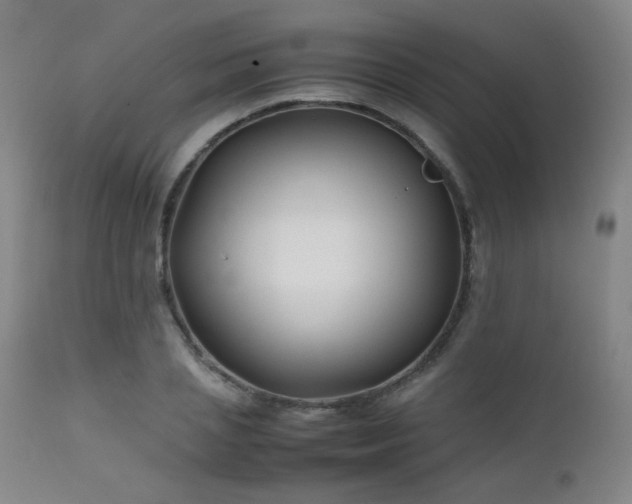 X0000111500837200907141310