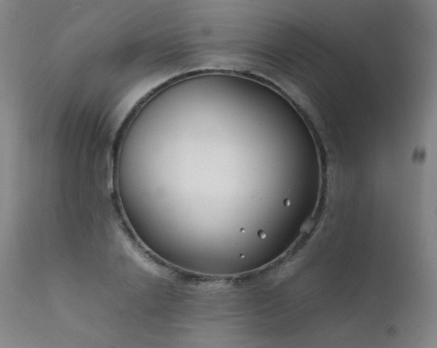 X0000111500838200907141310