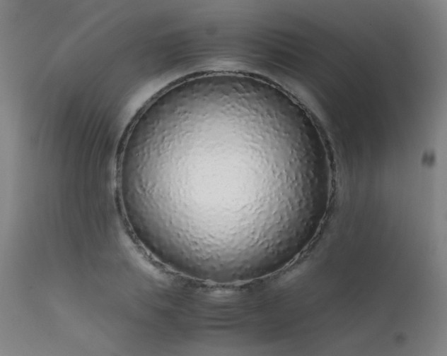 X0000111500839200907141310
