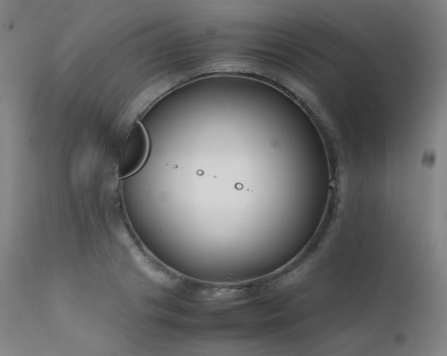 X0000111500841200907141310