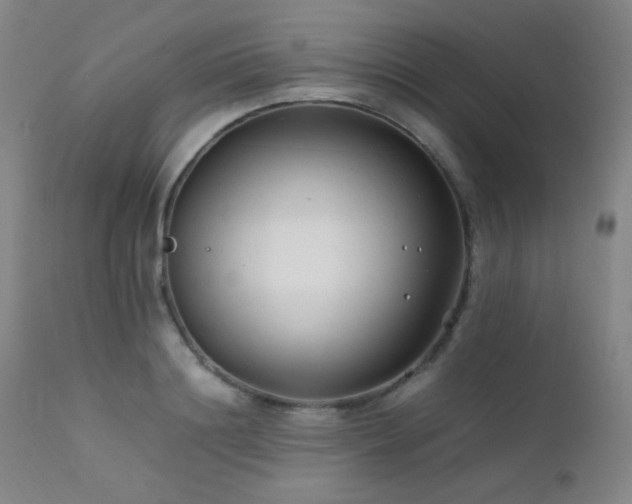 X0000111500844200907141310