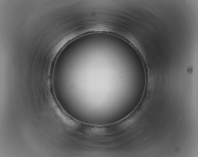 X0000111500845200907141310