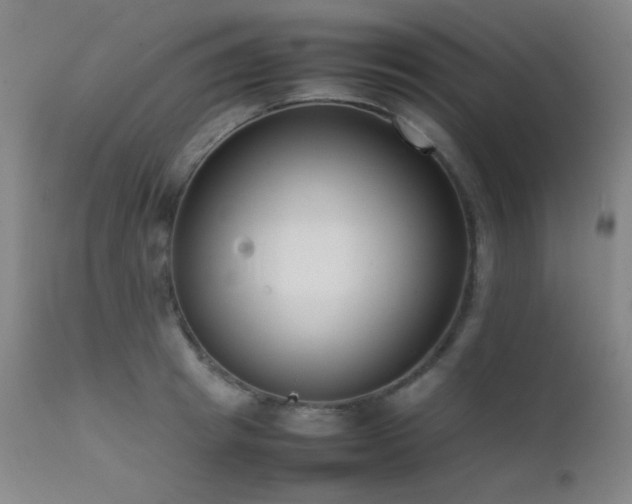 X0000111500849200907141311